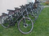 Cube KTM bergemont gazelle trek kalkoff pegasus