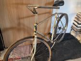 Raleigh single speed/fixie/fixed - nuotraukos Nr. 2
