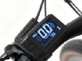 Yangor Y700 250w, 36v 10.4ah, iki 85km - nuotraukos Nr. 6