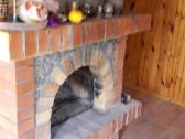 Parduodamas sodo sklypas su vasarnamiu - nuotraukos Nr. 4