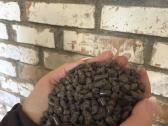 Kiektas Kuras + 1000 L Plautos Talpos - nuotraukos Nr. 8