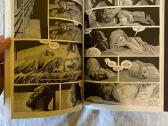 The Walking Dead komiksai - nuotraukos Nr. 19