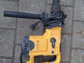 Dewalt perforatorius.raimondi