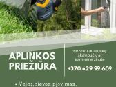 Vejos priežiūra, langų, saulės elektrinių valymas.