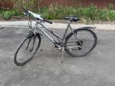 Trek dviratis