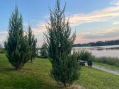 Parduodu 2 kambarių butą Kupiškyje Stoties gatvėje - nuotraukos Nr. 7