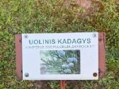 Parduodu 2 kambarių butą Kupiškyje Stoties gatvėje - nuotraukos Nr. 11