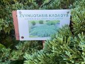 Parduodu 2 kambarių butą Kupiškyje Stoties gatvėje - nuotraukos Nr. 14