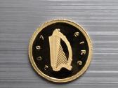 Airija 2007 20 euro Au 1,24g Keltų kultūra - nuotraukos Nr. 5