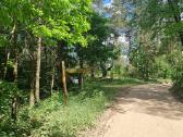 Norintiems įsirengti sodą greta pušyno už Ežerėlio - nuotraukos Nr. 11