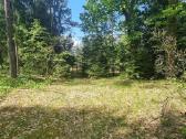 Norintiems įsirengti sodą greta pušyno už Ežerėlio - nuotraukos Nr. 16