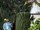 Aukštapjovė Karcher Psw 18-20 - nuotraukos Nr. 3