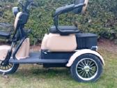 Elektrinis triratis Ride-e M20r Pro