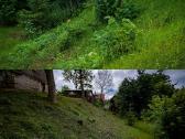 Žolės pjovimas, vejos pjovimas Jonava - nuotraukos Nr. 2