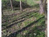 Sklypas šalia Širvintos upės - nuotraukos Nr. 5