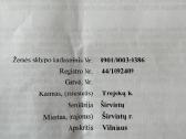 Sklypas šalia Širvintos upės - nuotraukos Nr. 7