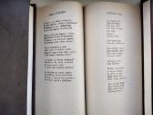 P. Širvys. Beržai baltieji broliai - nuotraukos Nr. 6