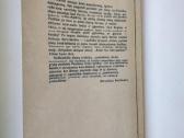 P. Širvys. Beržai baltieji broliai - nuotraukos Nr. 9