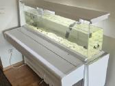Unikalus akvariumas