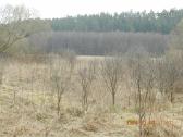 Sklypas prie Merkio, greta Merkines piramidės - nuotraukos Nr. 11