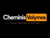 Salono cheminis valymas
