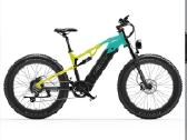 Lankeleisi Rv800 750w, 48v, 20ah, 52 km/h - nuotraukos Nr. 6