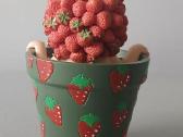 Anne Geddes kolekcijos statulėlė - nuotraukos Nr. 2