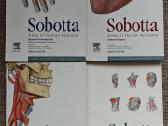 Sobotta žmogaus anatomijos atlasai