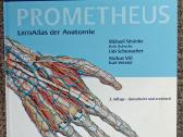 Prometheus anatomijos atlasas