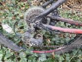 Raleigh Talus 2.0 - nuotraukos Nr. 5