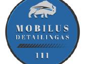 Mobilus auto detailingas - nuotraukos Nr. 3