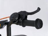 Dviratis Tomabike Plat-new-1201-orange - nuotraukos Nr. 6