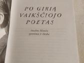 Po girią vaikščiojo poetas - nuotraukos Nr. 2