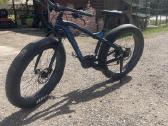 Fat bike