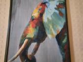 Paveikslas dramblys 30€