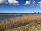 2 ha prie vandens karjero šalia Agluonėnų - nuotraukos Nr. 2