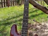Bosine gitara