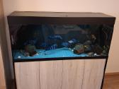 Akvariumas 450 litrų