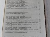 Petras Cvirka literatūros moksle ir kritikoje - nuotraukos Nr. 4