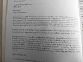 Baltarusijos paradoksai - nuotraukos Nr. 3