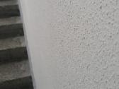 Struktūros, dažų purškimas, laiptinių remontas - nuotraukos Nr. 13