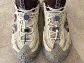 Nike Acg mountain fly 2 low