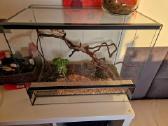 Terariumas 40x50x30 su viskuo 25eur - nuotraukos Nr. 3