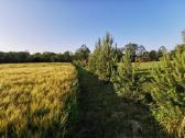 Baidarių ir stovyklavietės nuoma prie Verknės upės - nuotraukos Nr. 24
