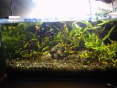 Akvariumai 45l ir 54l