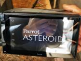 Parrot Asteroid