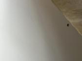 Ikea vystymo stalas-rašomasis stalas - nuotraukos Nr. 6