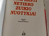 Nepaprasti netikro zuikio nuotykiai - nuotraukos Nr. 2