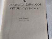 Gyvenimo žabangos * Keturi gyvenimai - nuotraukos Nr. 2