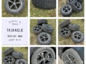Žieminės padangos Triangle Tw401 225/60 R16